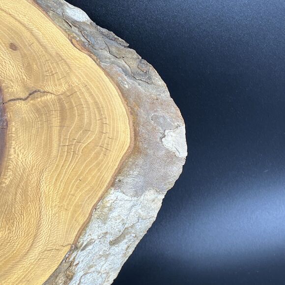 Burlwood Cut Live Edge Wood Slab Slice Owl Decor Unique OFAK Artwork - Picture 7 of 16